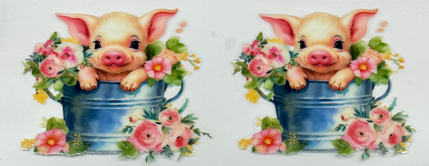 D0100 Pig in a Bucket